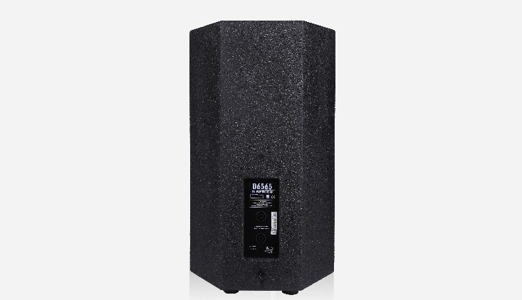 10 two way full range speaker 2